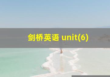 剑桥英语 unit(6)